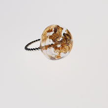 Load image into Gallery viewer, The Precious Promise Collection